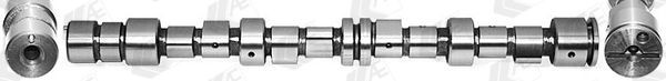AE Camshaft Article number: CAM316 cheaply