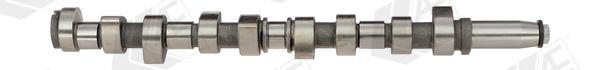 AE Camshaft Article number: CAM376 cheaply
