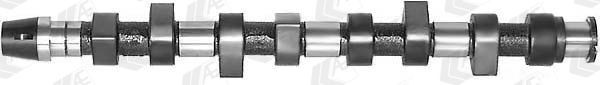 AE Camshaft Article number: CAM441 cheaply
