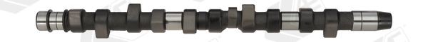 AE Camshaft Article number: CAM442 cheaply