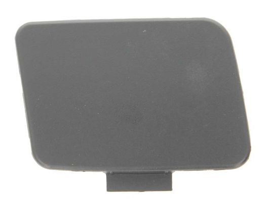 BLIC Flap, tow hook Article number: 5513-00-0019920P cheaply