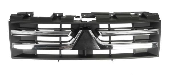 BLIC Radiator Grille Article number: 6502-07-3733990P cheaply