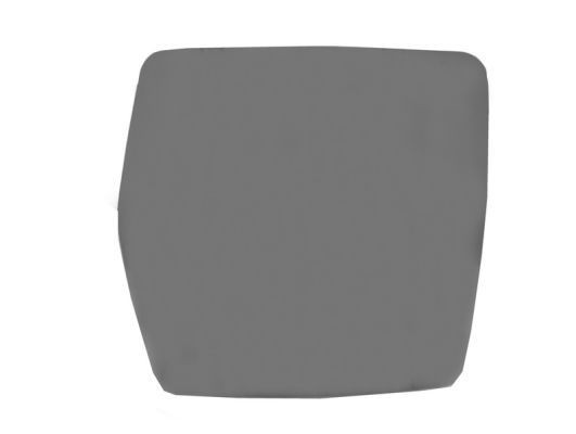 BLIC Mirror Glass, outside mirror Article number: 6102-02-1212973P cheaply