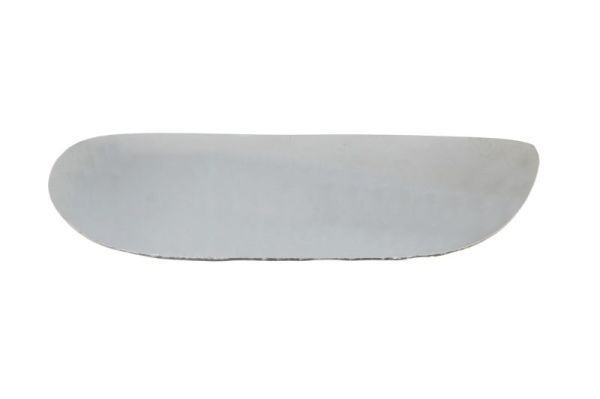 BLIC Mirror Glass, outside mirror Article number: 6102-02-1281959P cheaply