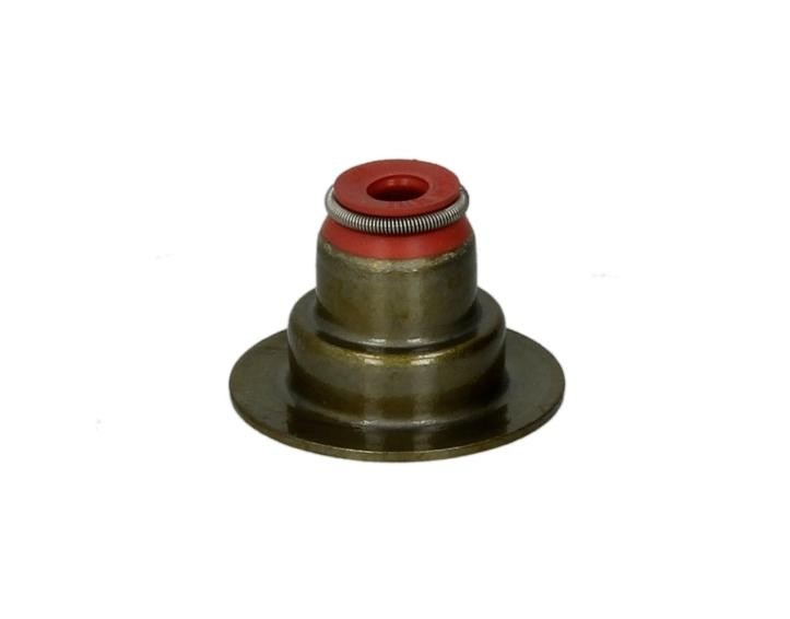 REINZ Valve stem seal Article number: 70-36613-00 cheaply