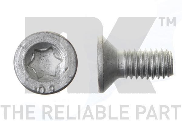 NK 89011671 Kruvi, piduriketas DS4 PureTech 180 (F35GFT) 181 HP Bensiin