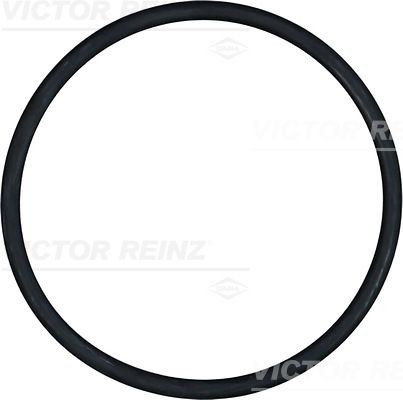 REINZ Seal Ring Article number: 40-76838-00 cheaply