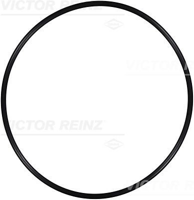 REINZ Seal Ring Article number: 40-76243-00 cheaply
