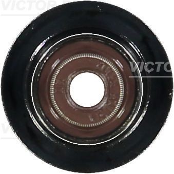 REINZ Valve stem seal Article number: 70-36866-00 cheaply