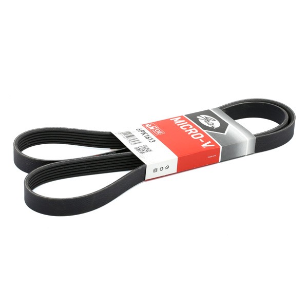 GATES Serpentine belt Article number: 6PK1613 cheaply