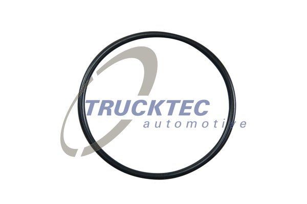 TRUCKTEC AUTOMOTIVE Pakning, termostat Varenummer: 02.67.006 billige