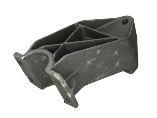 PACOL Holder, mudguard Article number: DAF-MS-001 cheaply