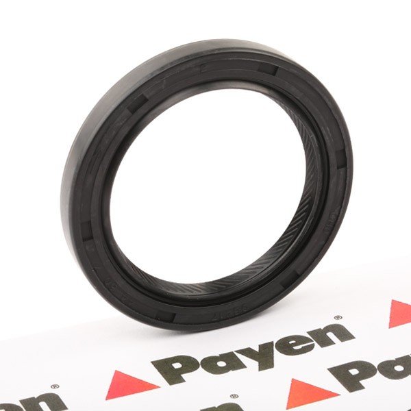 PAYEN Crankshaft seal Article number: NJ005 cheaply