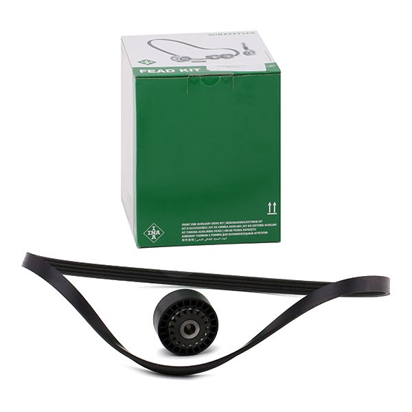 INA V-Ribbed Belt Set Article number: 529 0100 10 cheaply