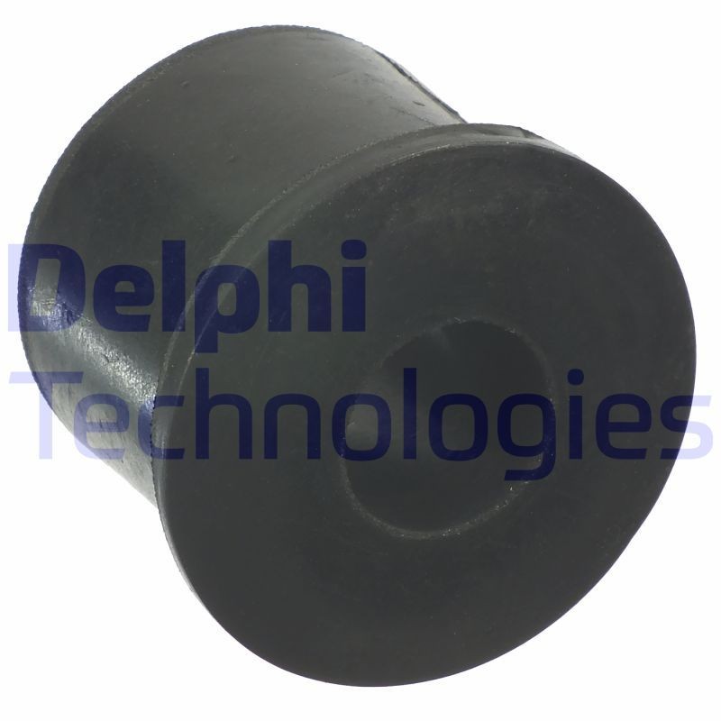 DELPHI Mounting, leaf spring Article number: TD1250W cheaply