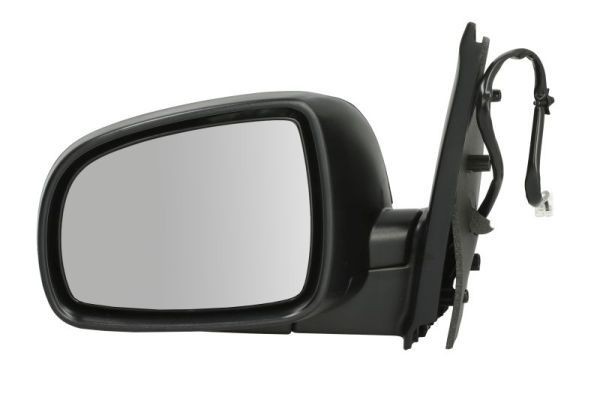 BLIC Wing mirror Article number: 5402-07-039361P cheaply