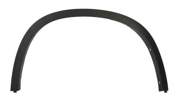 BLIC Trim / Protective Strip, mudguard Article number: 5703-04-0099595P cheaply