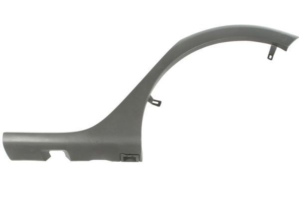 BLIC Trim / Protective Strip, mudguard Article number: 5703-04-1303596P cheaply