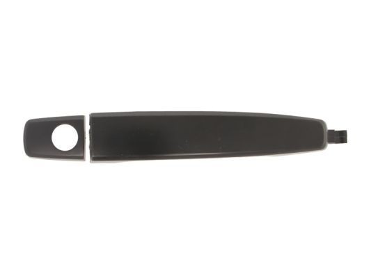 BLIC Door Handle Article number: 6010-56-009401P cheaply