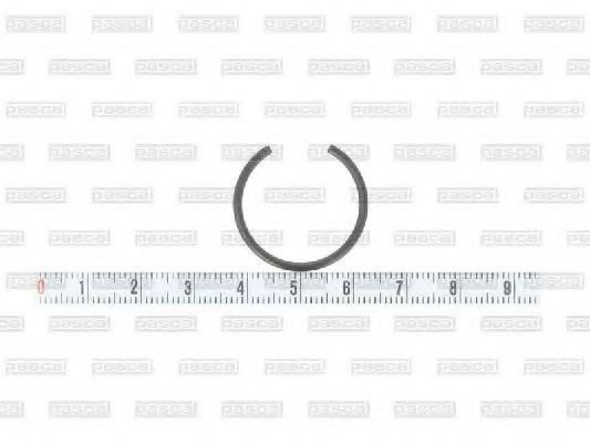 PASCAL Pressure Ring Article number: CIR G1W02PC cheaply