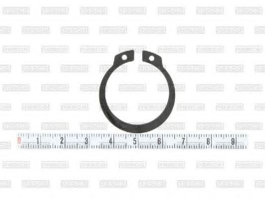 PASCAL Pressure Ring Article number: CIR G7W02PC cheaply