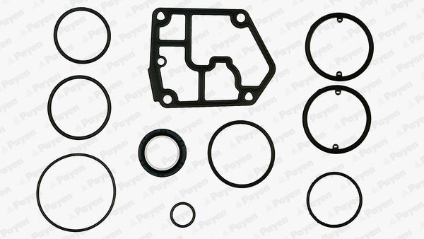PAYEN Crankcase gasket set Article number: EF5380 cheaply