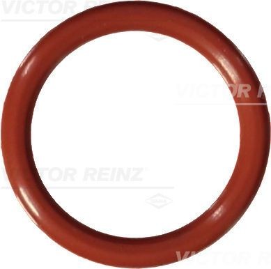 REINZ Seal Ring Article number: 40-76589-00 cheaply