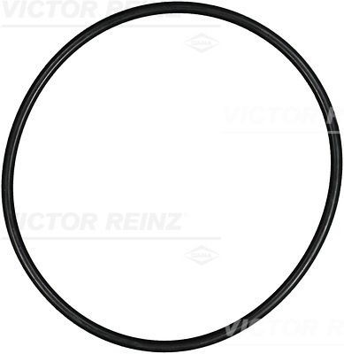 REINZ Seal Ring Article number: 40-76387-00 cheaply