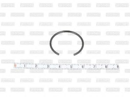 PASCAL Pressure Ring Article number: CIR G1F04PC cheaply