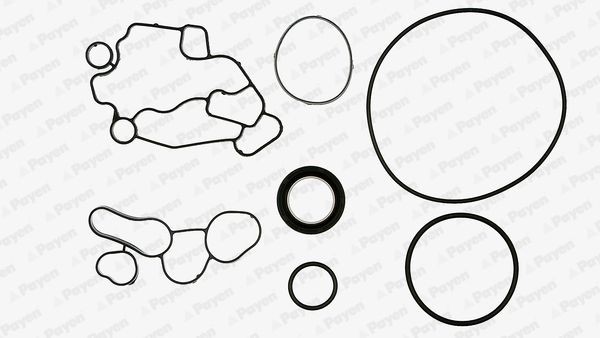 PAYEN Crankcase gasket set Article number: EG9600 cheaply