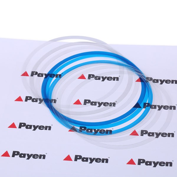 PAYEN O-Ring Set, cylinder sleeve Article number: HR350 cheaply