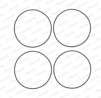 PAYEN O-Ring Set, cylinder sleeve Article number: HR566 cheaply
