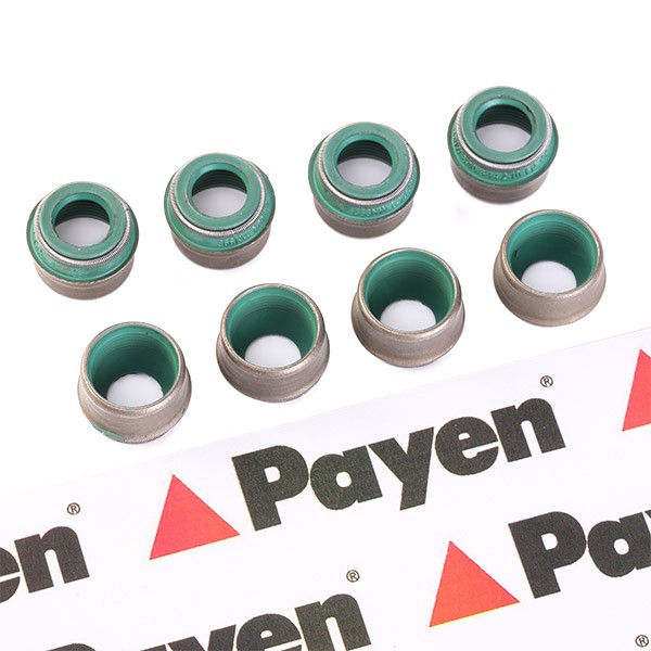 PAYEN Seal Set, valve stem Article number: HR569 cheaply