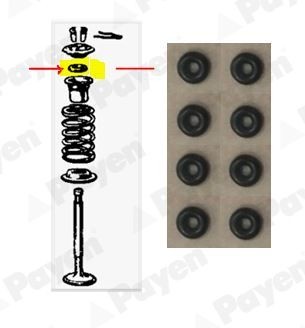 PAYEN Seal Set, valve stem Article number: HR619 cheaply