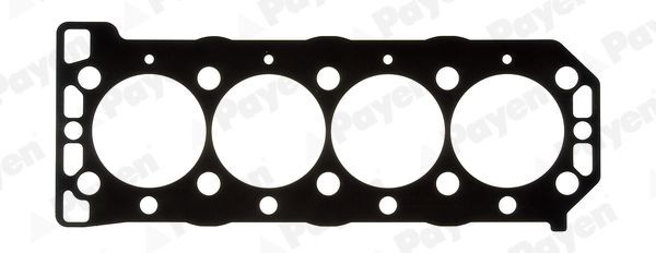 PAYEN Gasket, cylinder head Article number: KM5021 cheaply