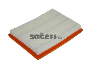 FRAM Luftfilter Artikelnummer: CA9838 kaufen