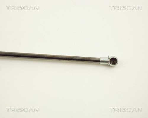 TRISCAN Adapter, brake lines Article number: 8105 4035 cheaply