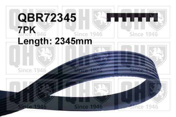 QUINTON HAZELL Serpentine belt Article number: QBR72345 cheaply