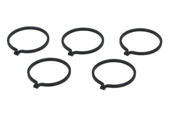 PASCAL Pressure Ring Article number: CIR G1C02PC cheaply