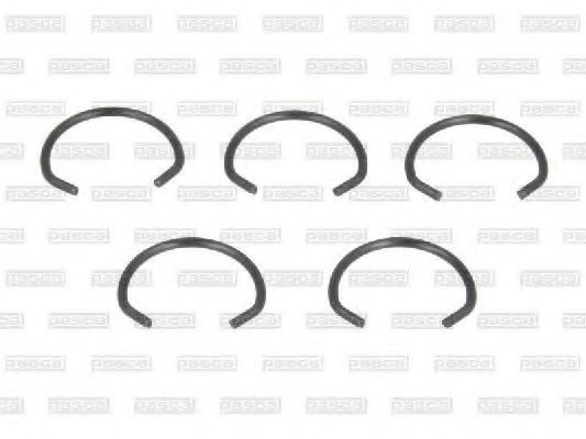 PASCAL Pressure Ring Article number: CIR G1W01PC cheaply