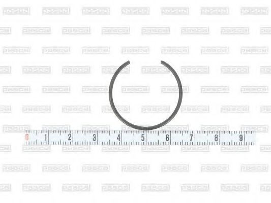 PASCAL Pressure Ring Article number: CIR G1W06PC cheaply