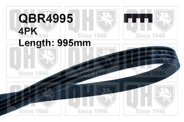 QUINTON HAZELL Keilrippenriemen Artikelnummer: QBR4995 bestellen