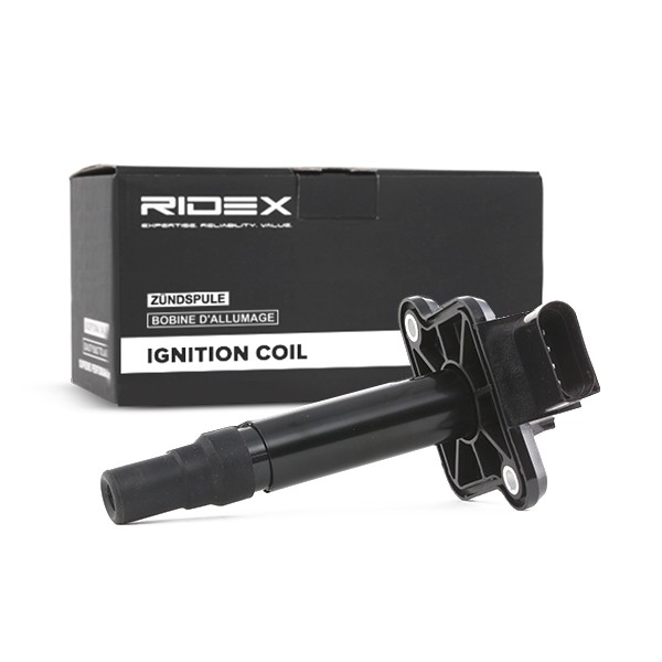RIDEX Süütepool Artikli number: 689C0021 soodsalt