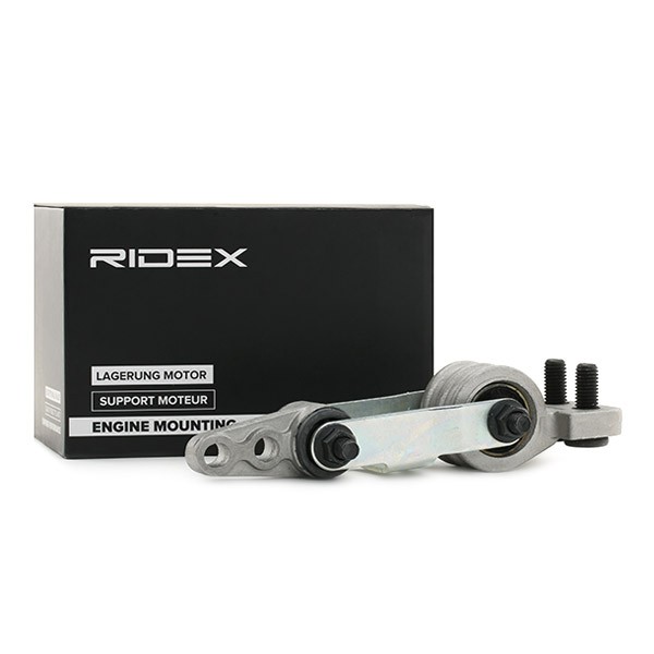 RIDEX Paigutus, Mootor Artikli number: 247E0045 soodsalt
