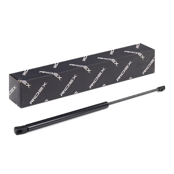 RIDEX Tailgate strut Article number: 219G0004 cheaply