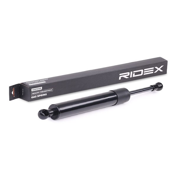 RIDEX Bagklapsdæmper Varenummer: 219G0125 billige