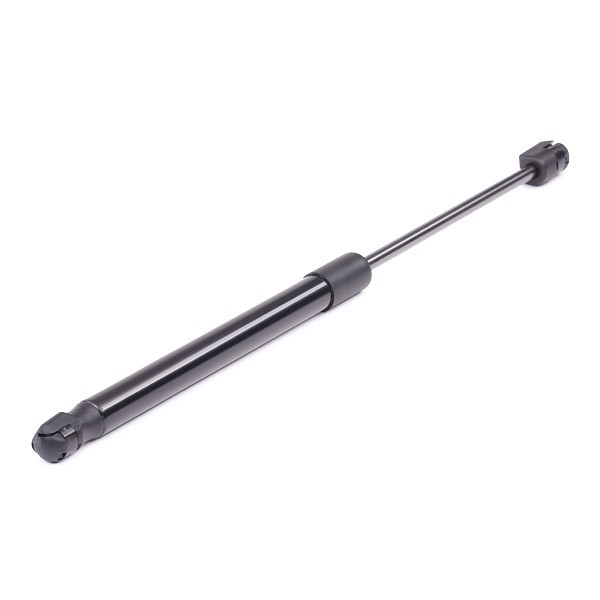 RIDEX Bagklapsdæmper Varenummer: 219G0230 billige