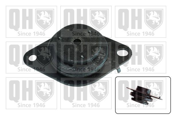 QUINTON HAZELL Mounting, automatic transmission Article number: EM4303 cheaply