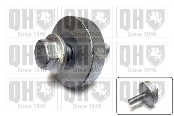 QUINTON HAZELL QTT1193B Skriemulio varžtas LAGUNA 1.9 dCi 130 AG dyzelinas 2007