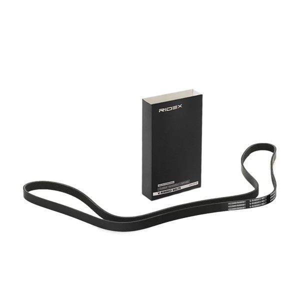 RIDEX Courroie Poly-V numéro de l'article: 305P0100 à bon prix